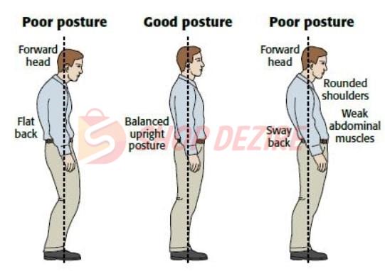 ProPosture™ Posture Corrector